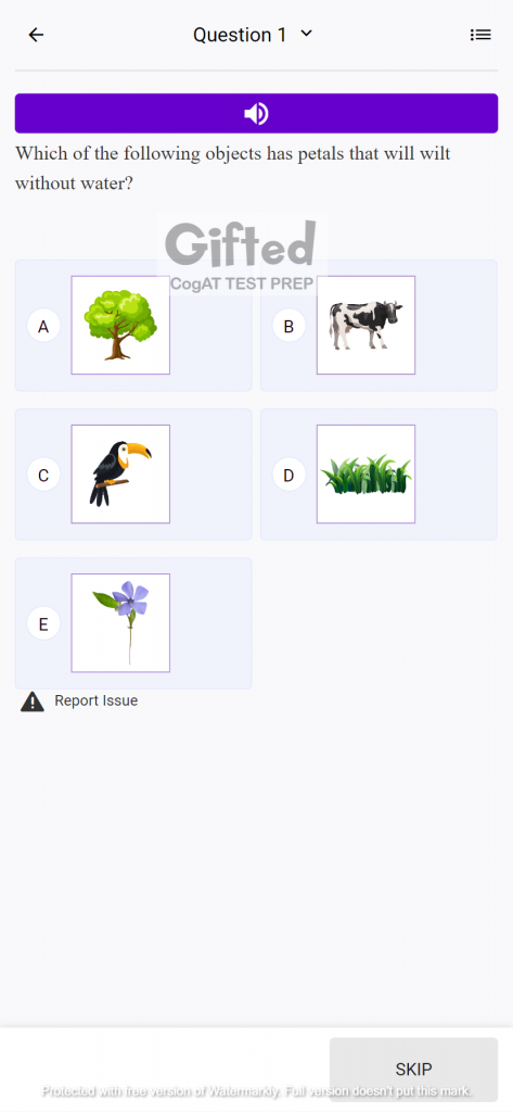 CogAT verbal sample questions