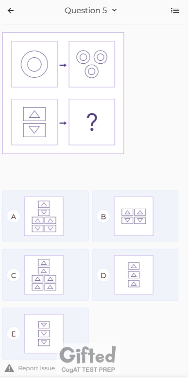 gifted-grade-6-fm-5.png