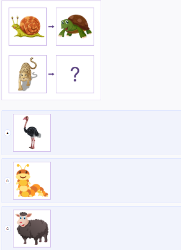 Free Picture based Test for the CogAT Kindergarten Practice 