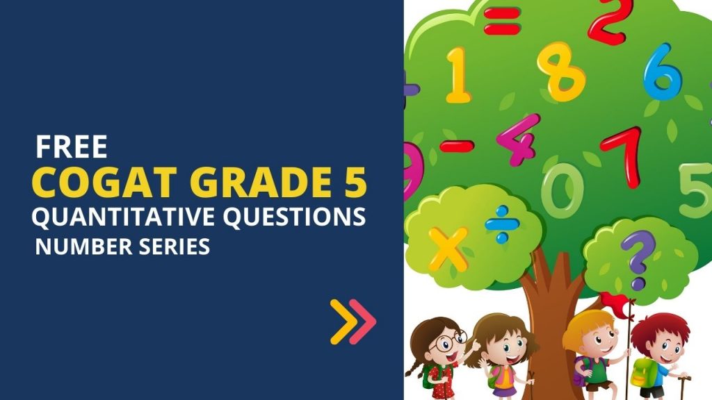 gifted grade 5  number series