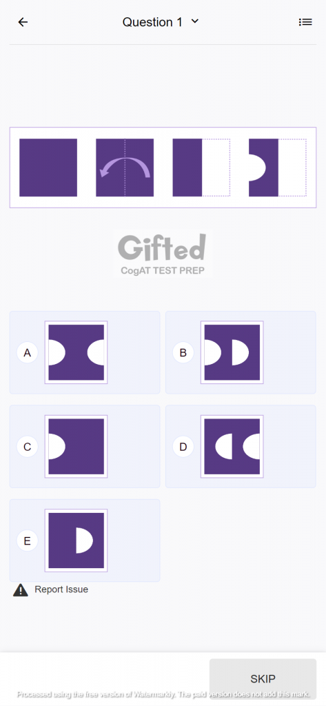 gifted practice test